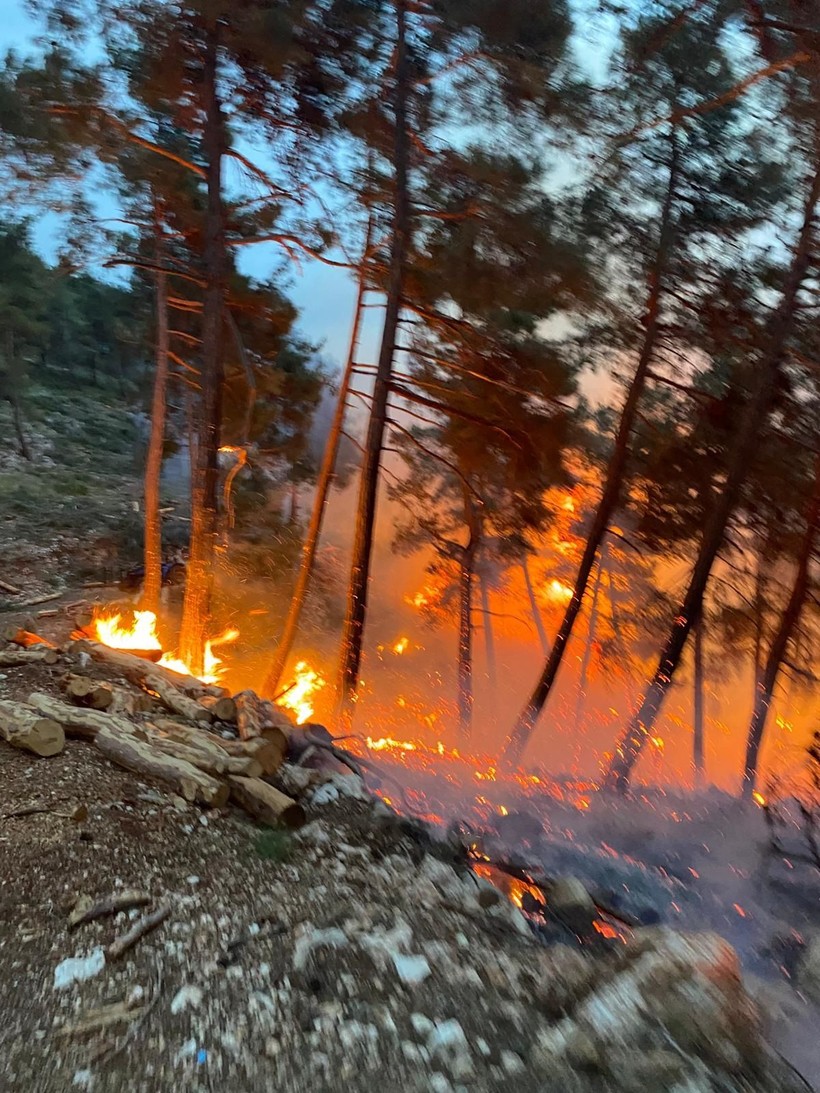 Mersin'de çıkan orman yangını söndürüldü - Resim: 2