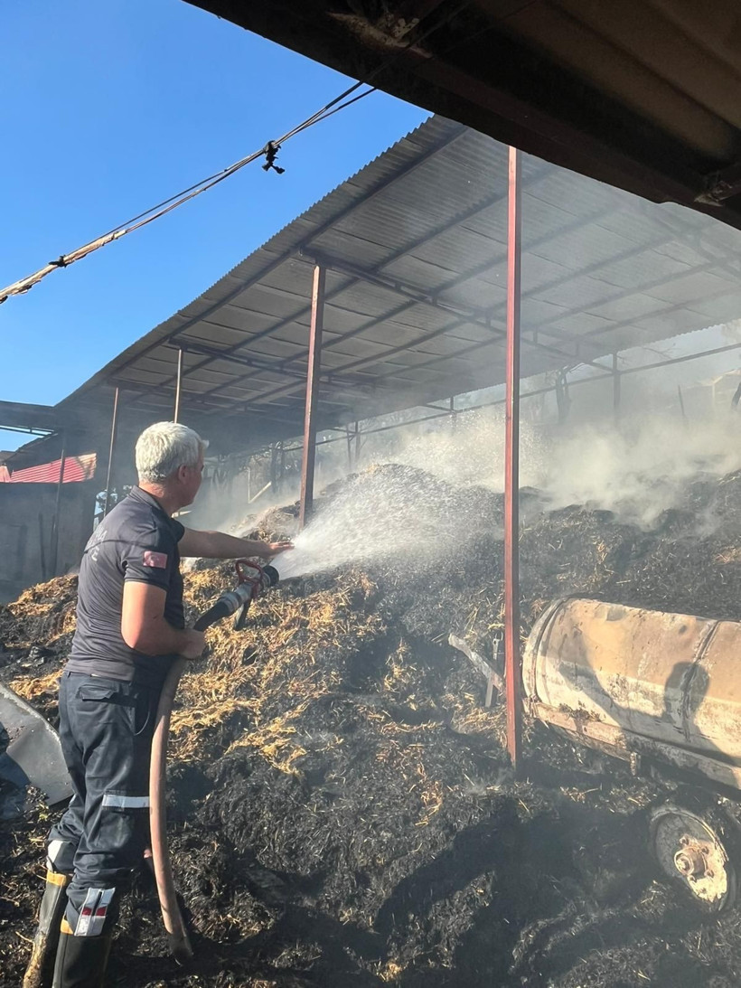 Adana'da ahır yangınında 5 inek öldü - Resim: 1