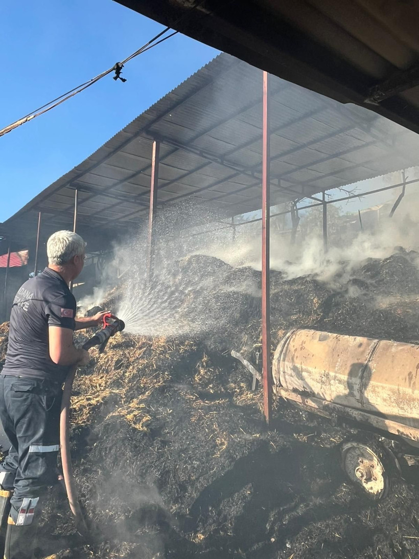 Adana'da ahır yangınında 5 inek öldü - Resim: 2