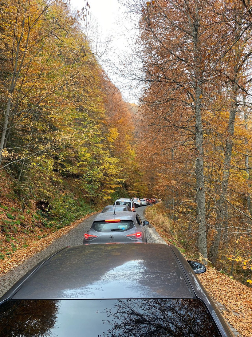Yedigöller’i 2 ayda 180 bin kişi ziyaret etti - Resim: 3