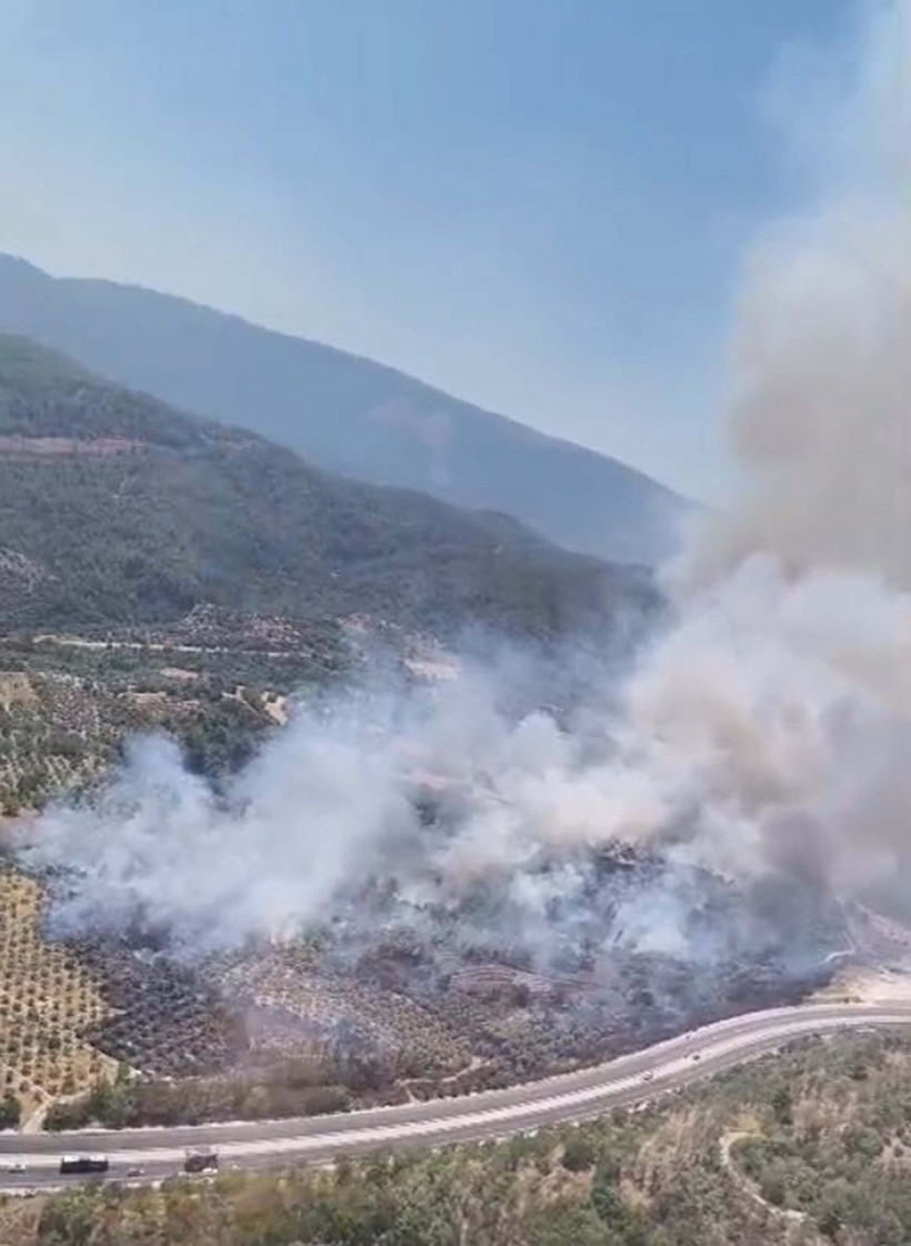 Muğla'da tarım arazisinde yangın - Resim: 4