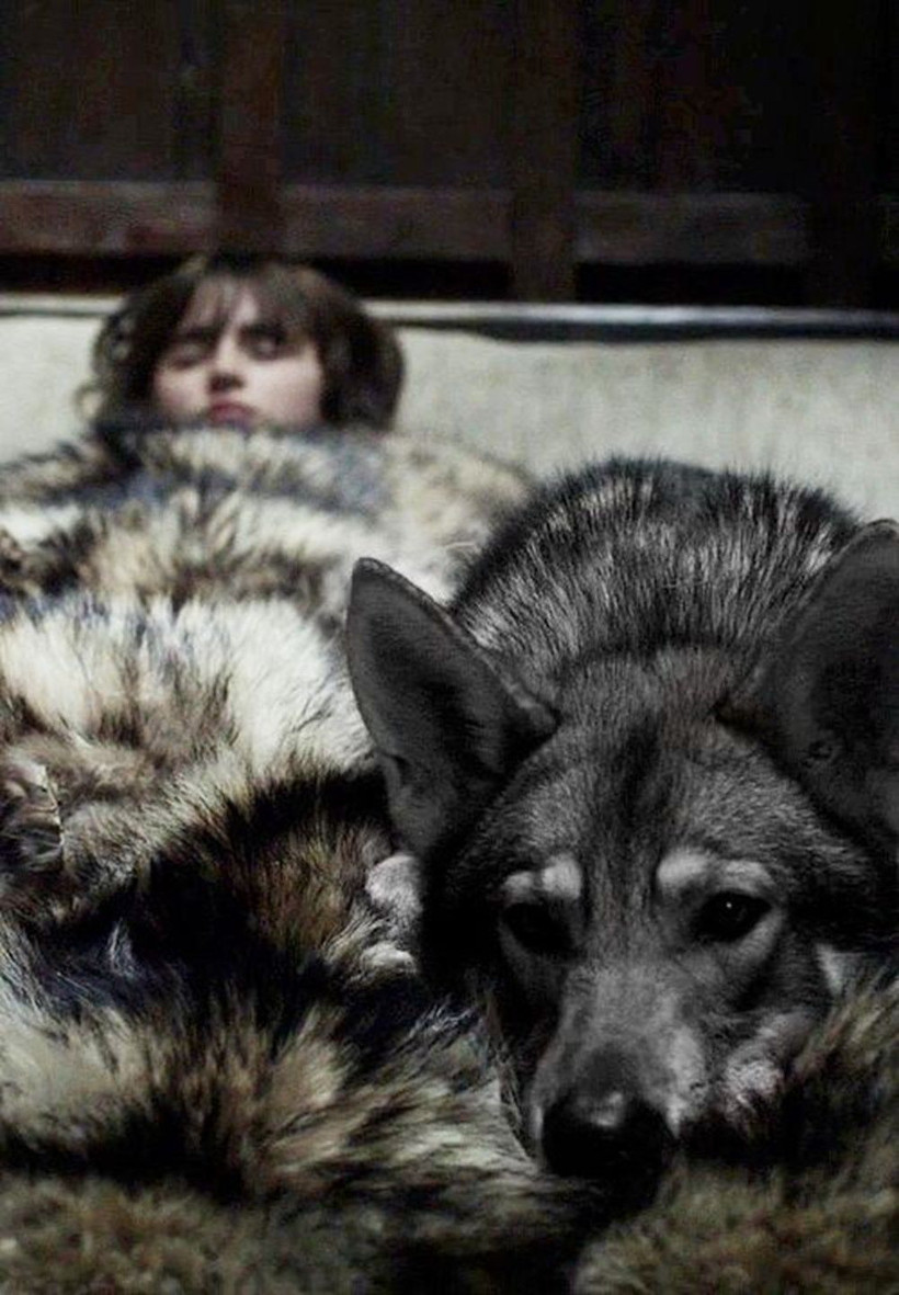 Game of Thrones'ta Bran'in köpeği Summer kansere yenik düştü - Resim: 4