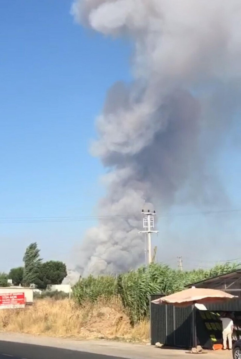Manisa'da çöplük yangını ormana sıçradı - Resim: 4