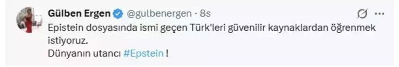 Epstein dosyasındaki Türkler kim? Ünlü şarkıcıdan dikkat çeken çıkış - Resim: 7