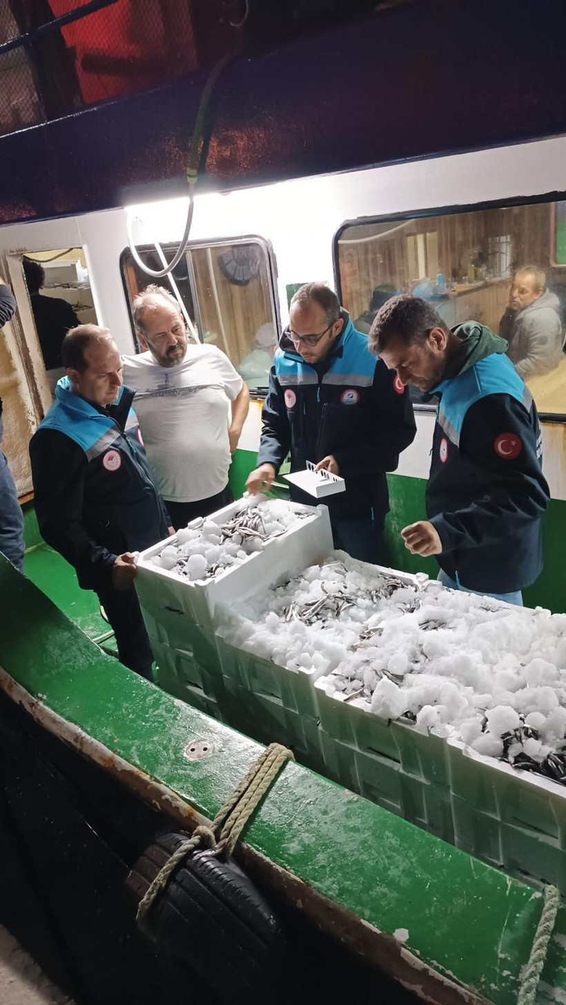 Bodrum’da hamsi avına çıkanlara yönelik denetim gerçekleştirdi - Resim: 1