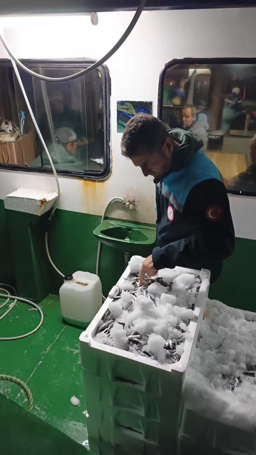 Bodrum’da hamsi avına çıkanlara yönelik denetim gerçekleştirdi - Resim: 4