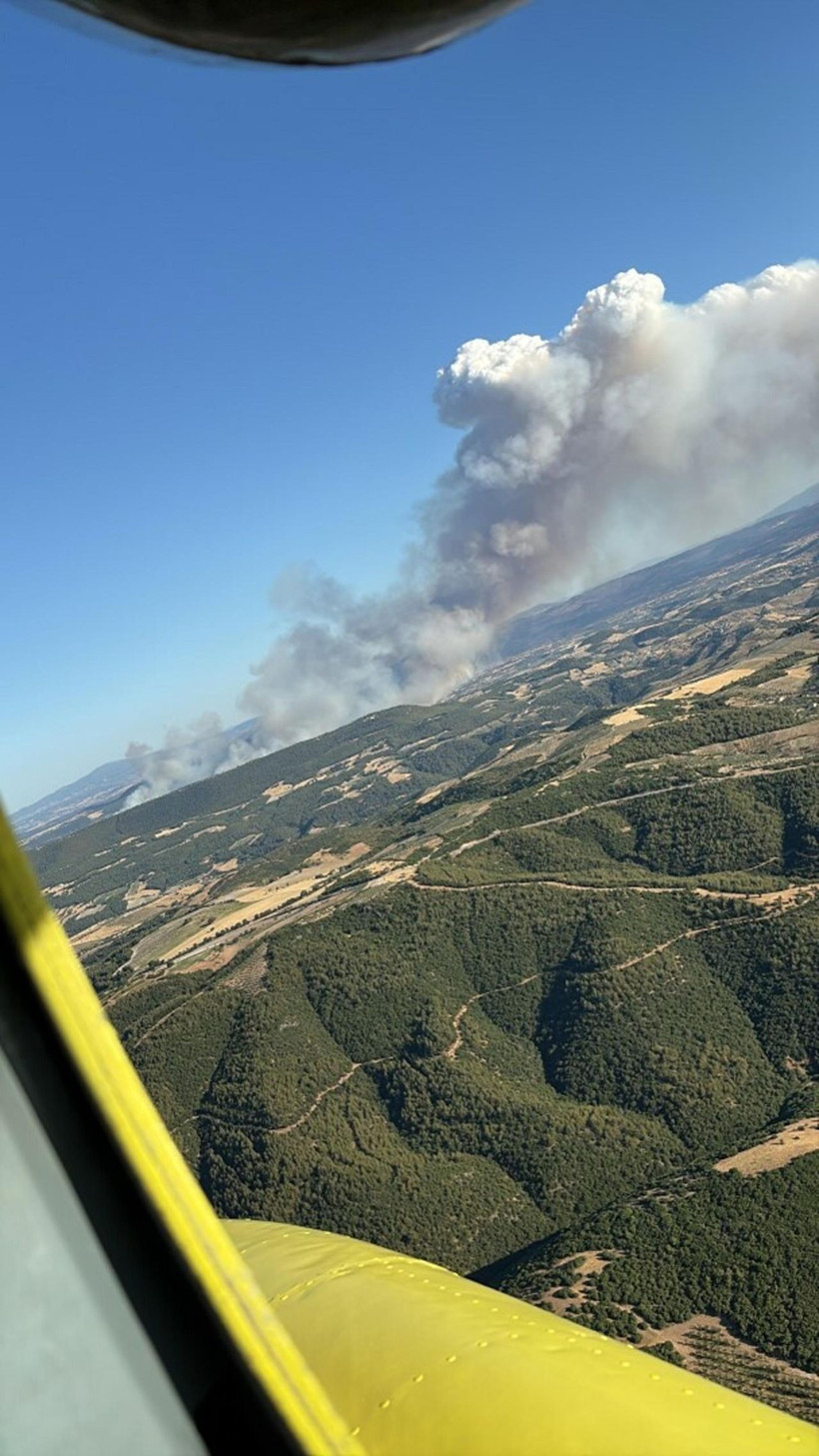 Manisa'da çöplük yangını ormana sıçradı - Resim: 1