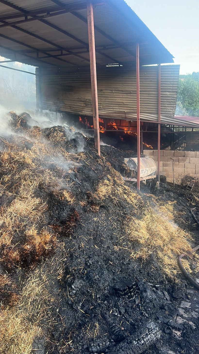 Adana'da ahır yangınında 5 inek öldü - Resim: 3