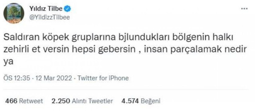 Yıldız Tilbe, 'köpek linci' sonrasında suç duyurusu yaptı - Fotoğraf: 8