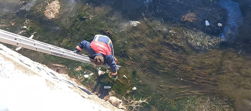 Yüksekova’da dereye düşen yavru köpeği itfaiye ekipleri kurtardı - Resim: 1