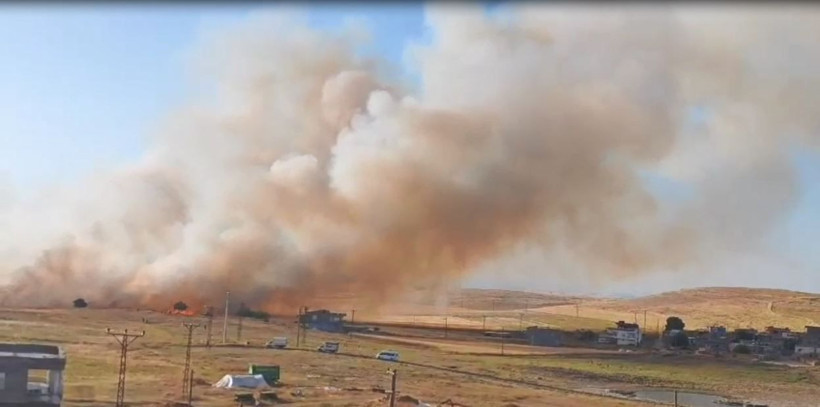 Mardin'de 120 dönüm arpa ekili arazi yandı - Resim: 4