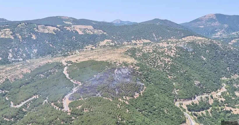 Afyonkarahisar, Fethiye ve Antalya'da orman yangını! Ekipler sevk edildi - Fotoğraf: 5