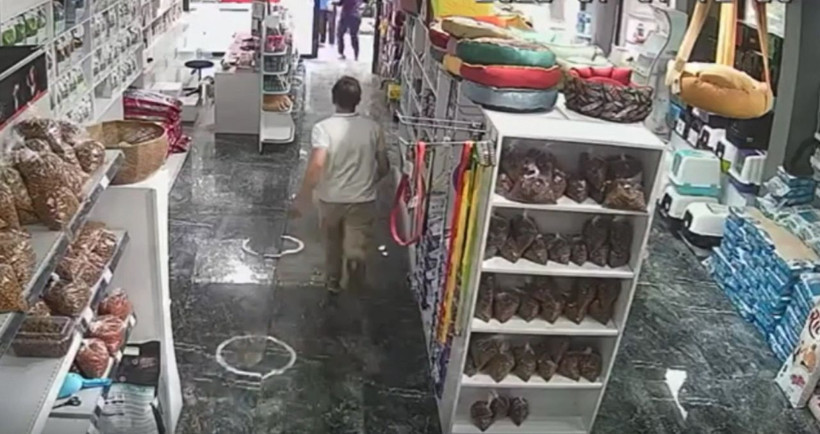 Deprem sırasında serum takılı köpeğin yanına koştu - Resim: 1