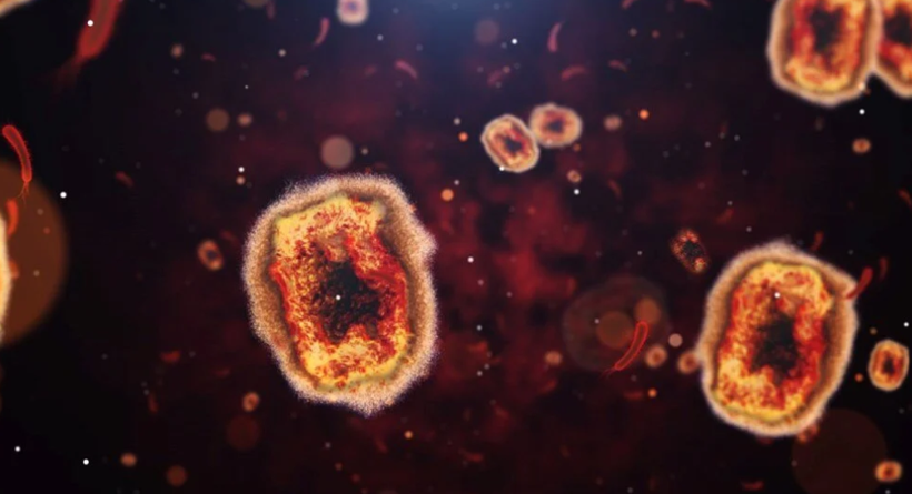 Çin'de endişe yaratan HMPV virüsü: Covid kısıtlamaları geri mi dönüyor? - Resim: 4