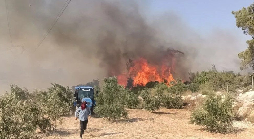 Karabük'teki yangın büyüyor, Bursa'nın üç ilçesi tehdit altında - Resim: 1