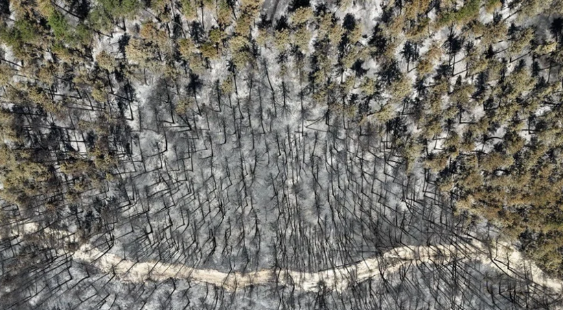 Tam 54 saat sürdü! Karabük'te yanan alanlar havadan görüntülendi - Resim: 2