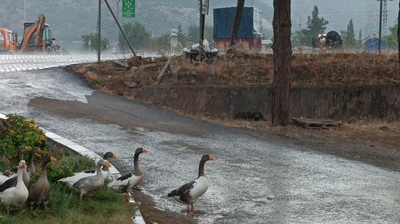 Gaziantep'te sağanak; dere taştı, traktör sürüklendi - Resim: 2