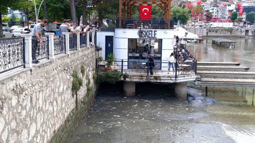 Yeşilırmak'ta balık ölümleri - Resim: 3