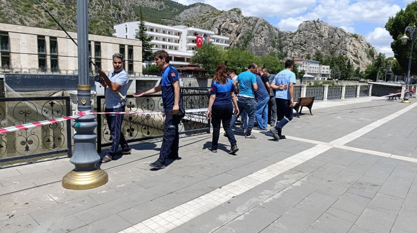 Yeşilırmak'ta balık ölümleri - Resim: 1