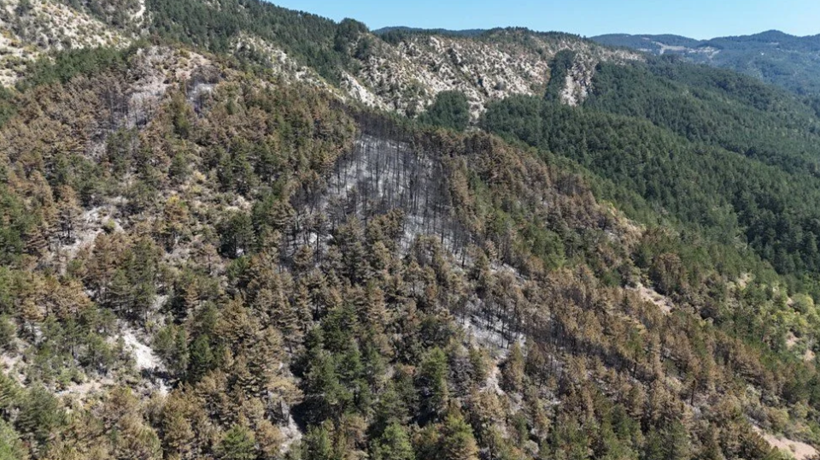 Tam 54 saat sürdü! Karabük'te yanan alanlar havadan görüntülendi - Resim: 4