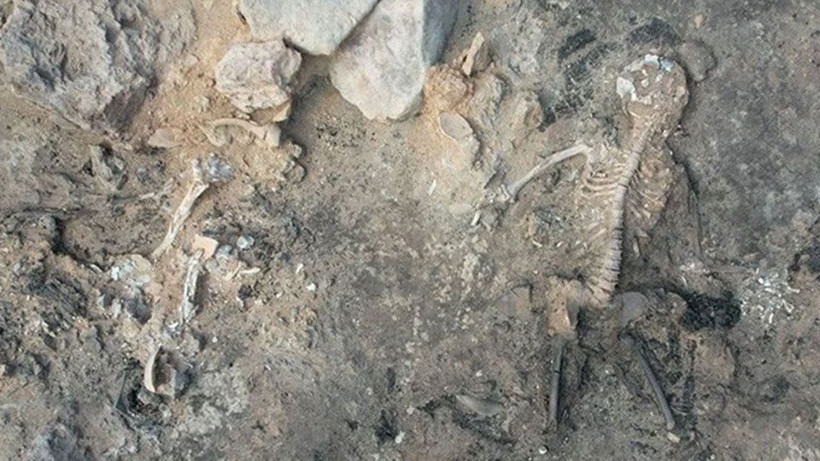 Kütahya'da bulundu! "Türkiye'de ilk ve tek örnek" - Fotoğraf: 6