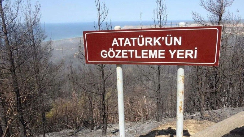 Türkiye'nin birçok noktasında alevlerle mücadele sürüyor - Fotoğraf: 31