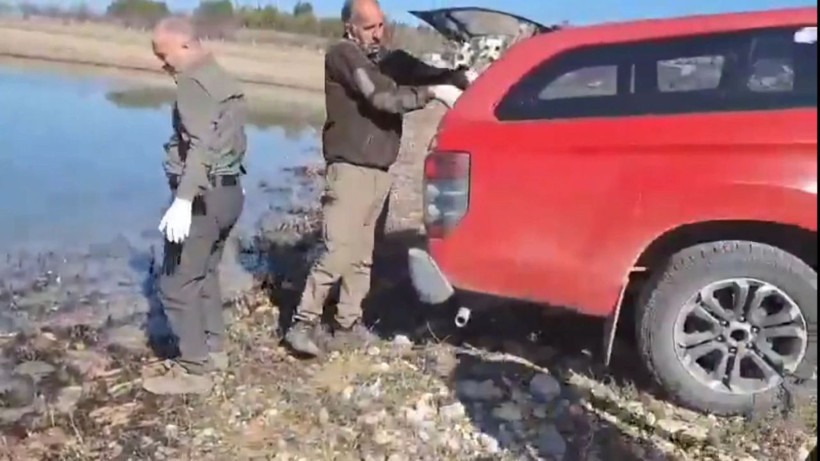 Şanlıurfa’da çamurda mahsur kalan 530 kaplumbağa baraj göletine bırakıldı - Fotoğraf: 2