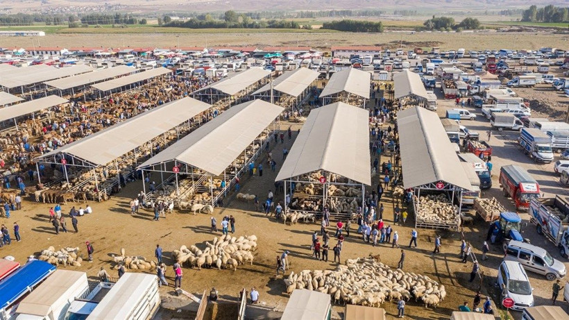 Türkiye'nin en büyük hayvan pazarı 'şap' nedeniyle kapatıldı - Fotoğraf: 2