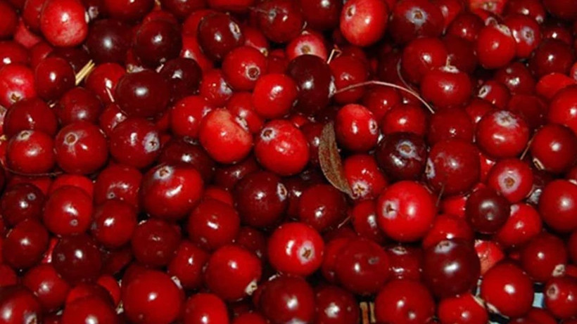 Karaciğer yağlanmasını azaltıyor! Osmanlı'dan miras kalan lezzet - Fotoğraf: 8