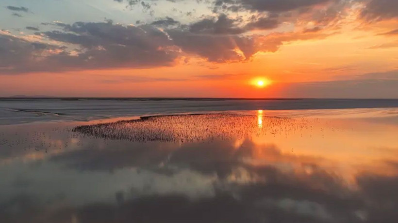 Tuz Gölü'nde flamingo sayısı arttı! Son beş yılın en yüksek sayısına ulaşıldı - Fotoğraf: 4