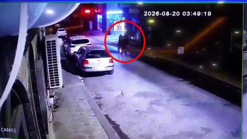 Üç kardeşin Darıca sahilinde gizemli ölümü! Tek renk giyinmişler, kol kola yürümüşler - Fotoğraf: 3