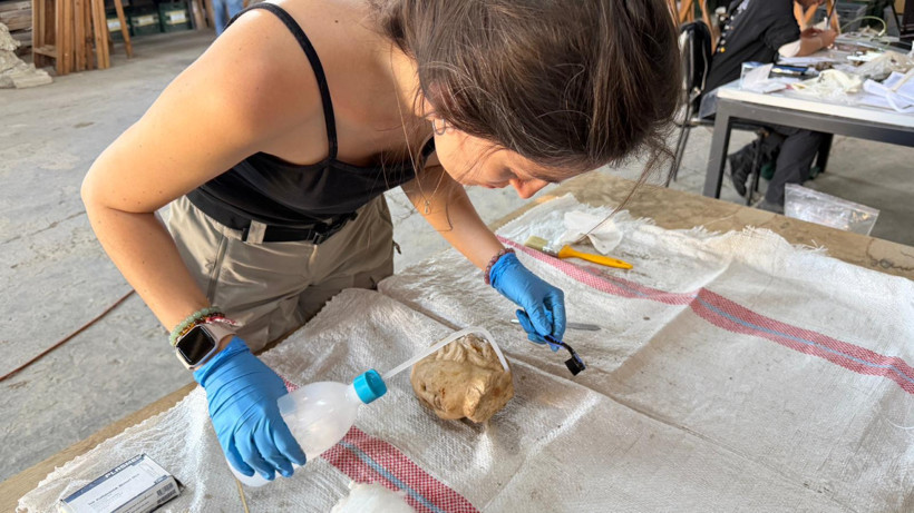 Pompeiopolis’te binlerce yıllık miras gün ışığına kavuştu! 105 metrekarelik mozaik ortaya çıkarıldı - Fotoğraf: 17