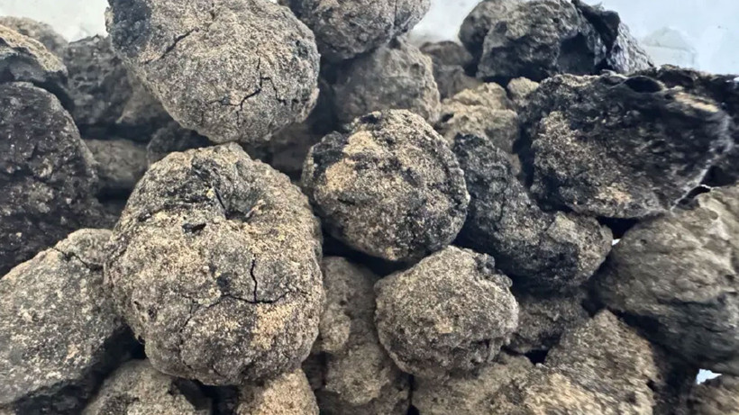 Havran siyah incirinin 8 bin yıllık kalıntıları bulundu - Fotoğraf: 2