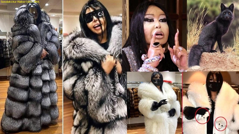 Bülent Ersoy:  55 tilki yalanını kim çıkarmış neresinden uydurmuş - Resim: 2