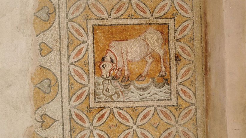 'Karadeniz'in Zeugması' kapılarını dünyaya açacak - Resim: 4