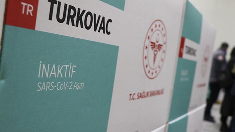 Faz-3 ara sonuçları açıklandı: TURKOVAC, Covid-19'a yakalanma oranını CoronaVac'a göre yaklaşık yüzde 50 azalttı - Resim: 2