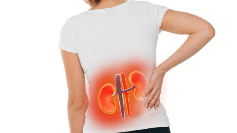 Bu alışkanlıklar böbrek yetmezliği yapıyor! - Resim: 1