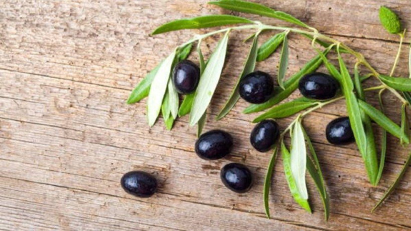 Eczanelerde bile bulamayacağınız bir ilaç; Zeytin çekirdeğini sakın çöpe atmayın - Resim: 1
