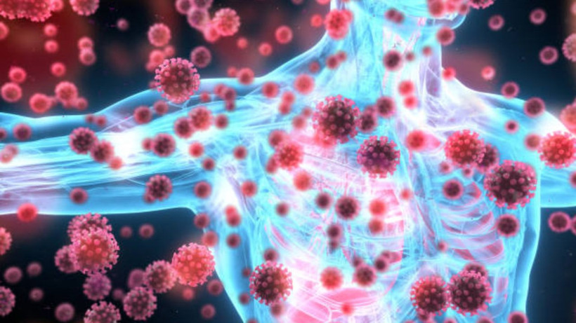 Bağışıklık sistemini tavan yaptıran besinler; İşte hastalıklardan korunmanın yolları - Resim: 2