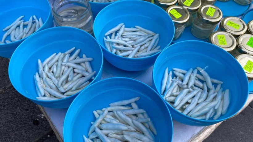 Bu sakızın kilosu tam 2 bin 500 TL; Yararlarına inanamayacaksınız - Resim: 3