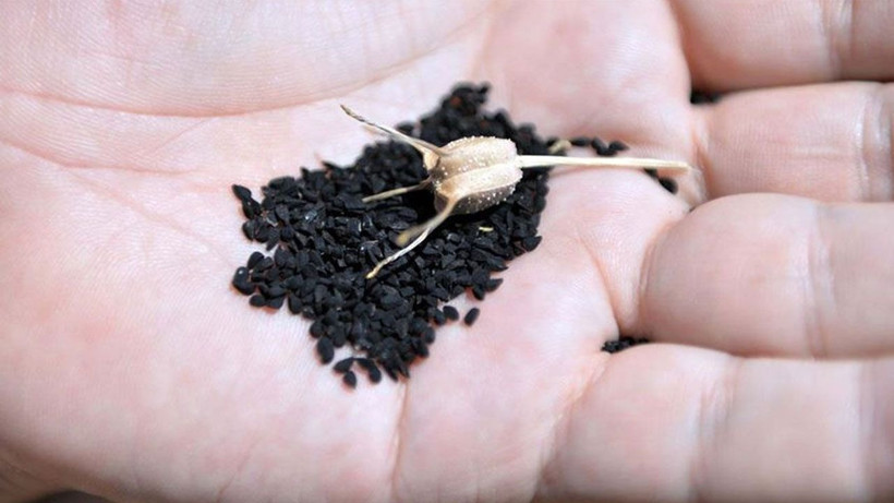 Menopoza giren her kadın bunu yapıyor! Geceleri yatmadan mutlaka 1 kaşık için - Resim: 2