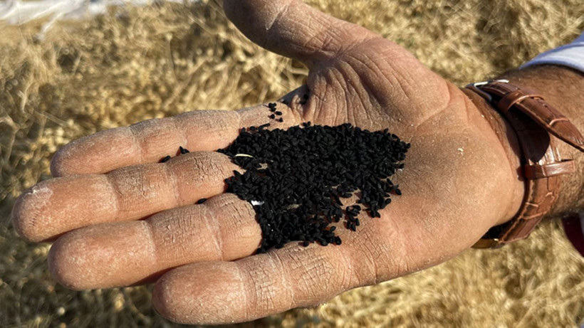 Menopoza giren her kadın bunu yapıyor! Geceleri yatmadan mutlaka 1 kaşık için - Resim: 4