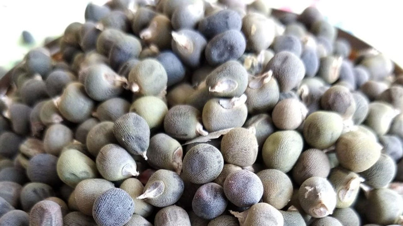 1 tutam tüketildiğinde inanılmaz faydası var; Bu mucize için geç kalmayın - Resim: 1