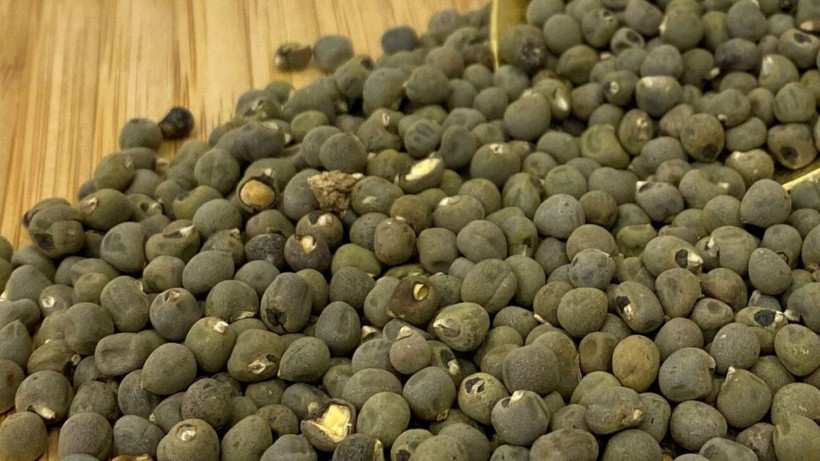 1 tutam tüketildiğinde inanılmaz faydası var; Bu mucize için geç kalmayın - Resim: 4