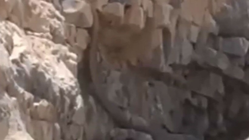 Türkiye’de o ilde görüldü! Kıyamet alameti – Görenler gözlerine inanamadı - Resim: 4