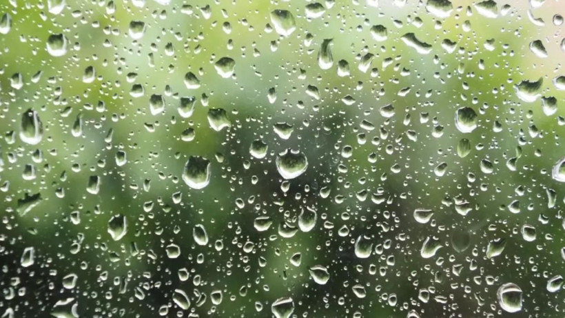 Ev hanımlarının işini kolaylaştıracak temizlik sırrı! Yağmurlu günlerde camlarınızda tek bir su damlası bile kalmıyor - Resim: 4