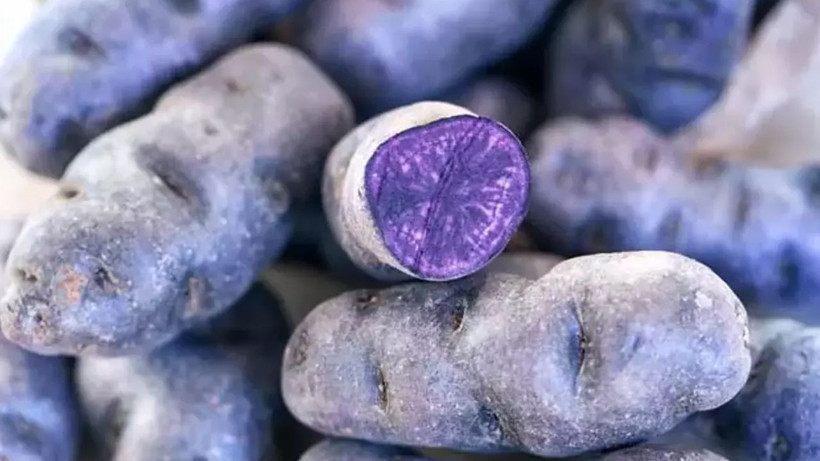 Türkiye’de de kadınlar sıkça tüketmeye başlayacak; Rengine değil fiyatına bakın - Resim: 4