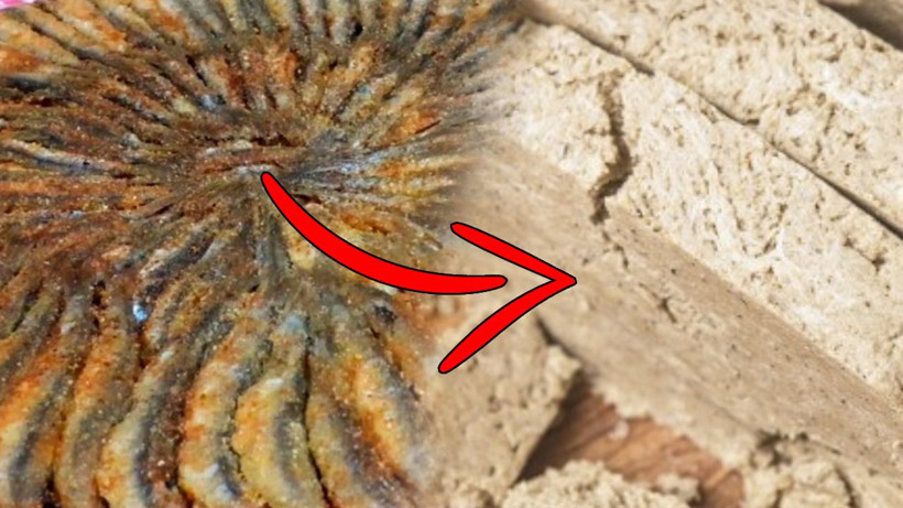 Balık tüketirken yapılan hata: Bütün besin değerini yok ediyor… - Resim: 1