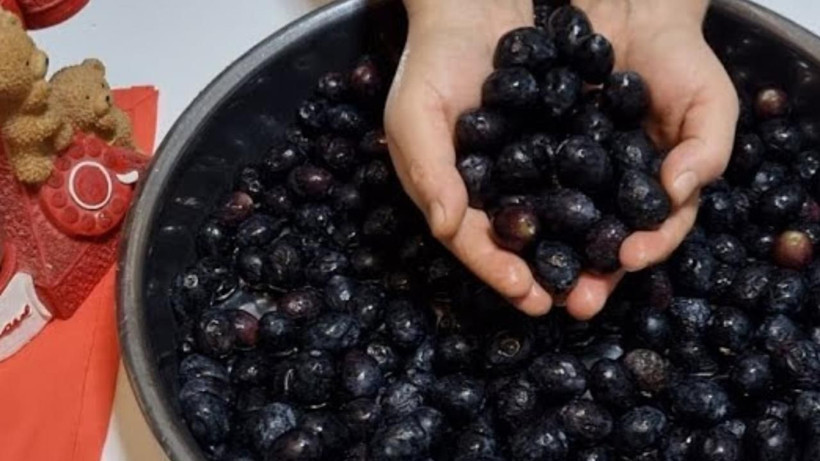 Zeytinin tuzu nasıl alınır? 4 yöntemde zeytin pamuk gibi oluyor! Ağızda acılık kalmıyor - Resim: 3