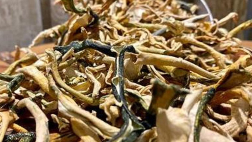 Tek başına basuru bitiriyor; Hazine gibi sebzeyi hep çöpe atmışız… - Resim: 1